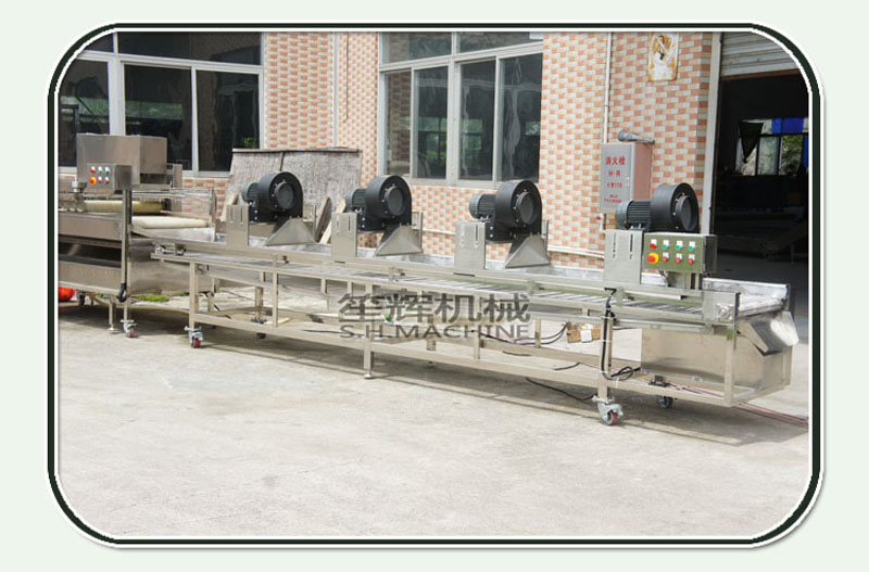 s&eacute;choir &eacute;lectrique