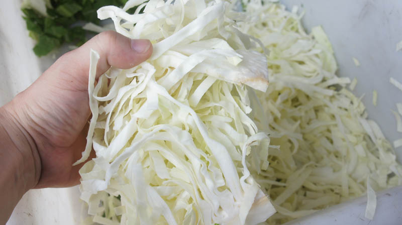 machine &agrave; couper les oignons