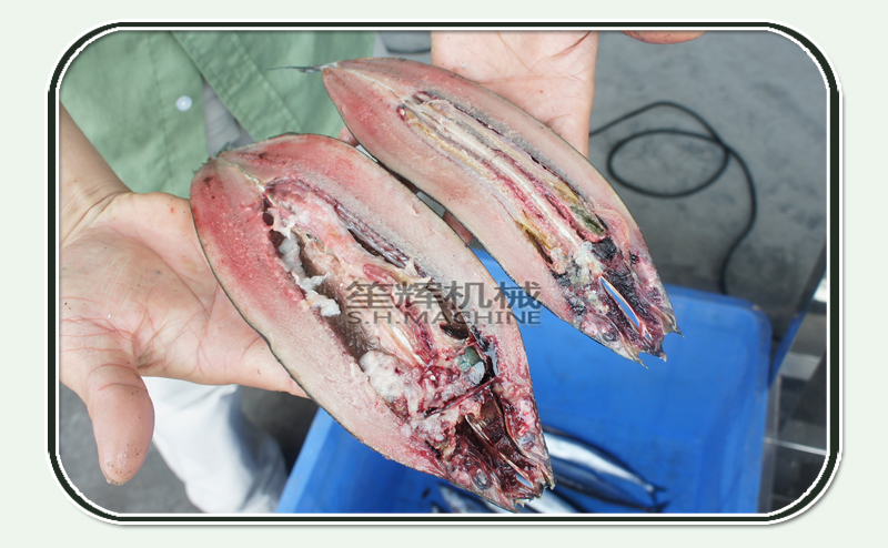 machine &agrave; filet de poisson