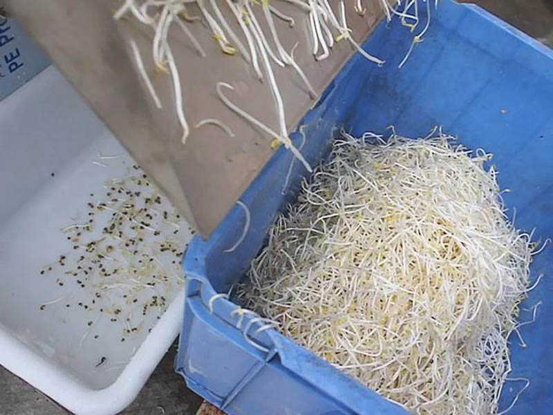 lavage &agrave; bulles