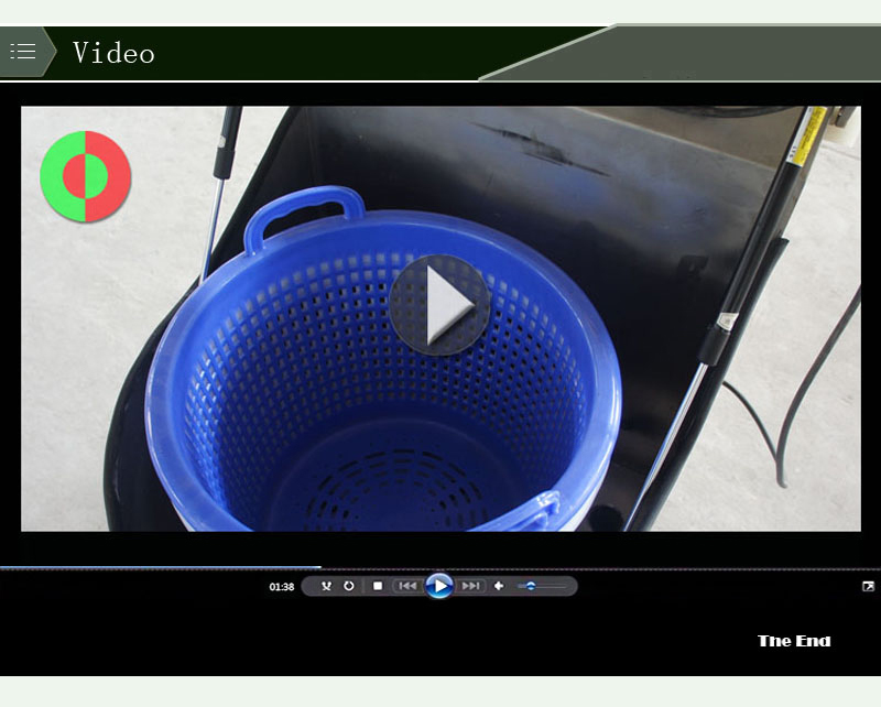 oignons d&eacute;shydrat&eacute;s