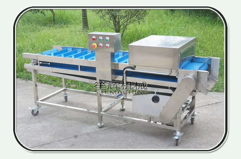 transformation du poisson