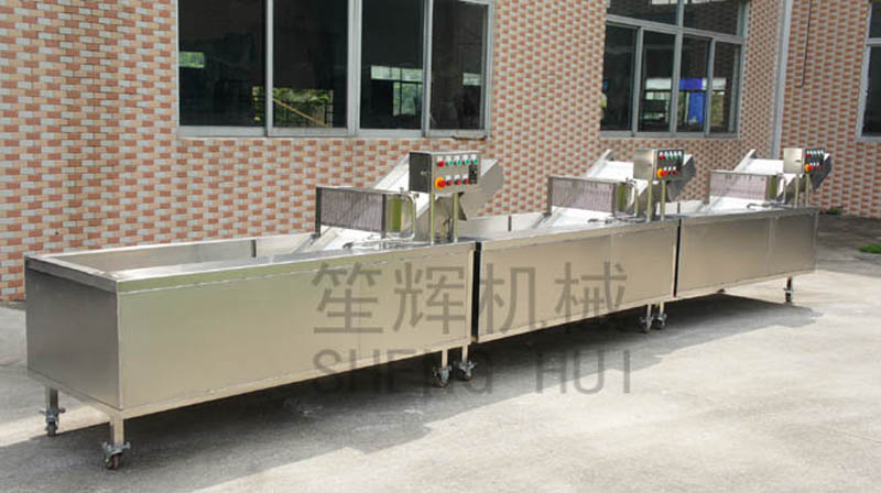 Machine &agrave; laver les l&eacute;gumes en continu pour les clients en Afrique du Sud 2