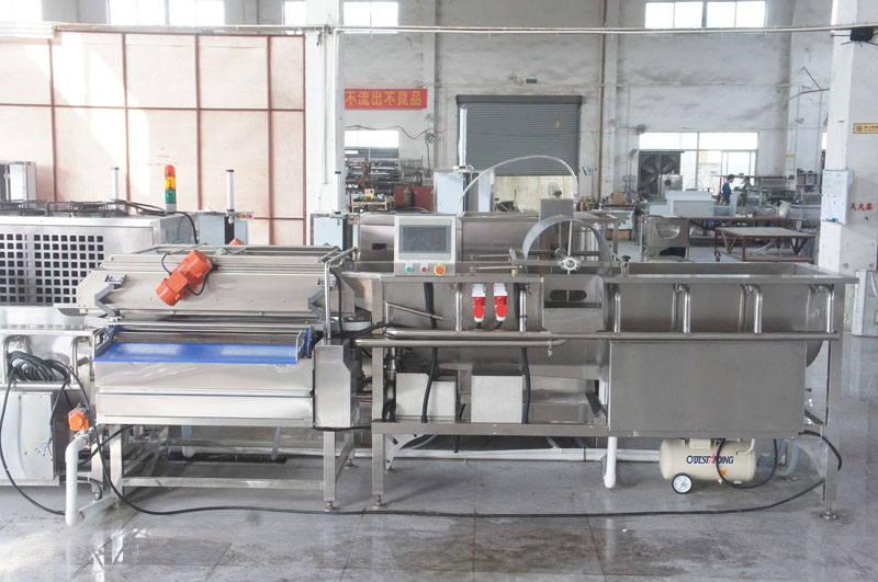 Vortex industriel ozone fruits & machine &agrave; laver les l&eacute;gumes