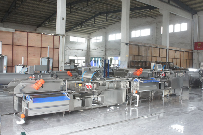 machine &agrave; laver les fruits et l&eacute;gumes