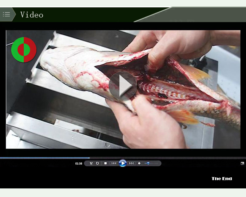 machine &agrave; d&eacute;tartrer les poissons