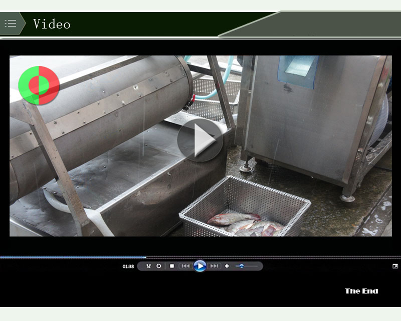 Skinzit poisson &eacute;lectrique poisson tilapia nettoyage &eacute;cailleur skinner d&eacute;tartrant ligne de traitement des fruits de mer 2