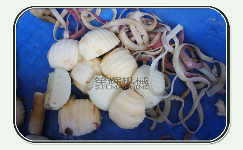 &eacute;plucheur &agrave; pommes