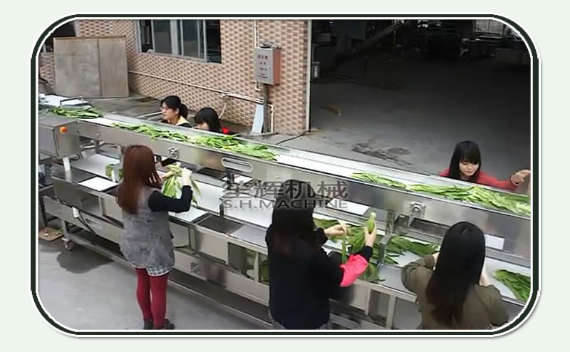 machine de traitement des l&eacute;gumes