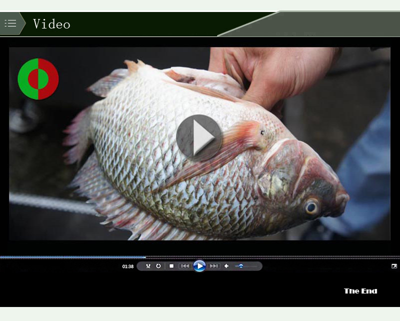 &eacute;quipement de traitement du poisson