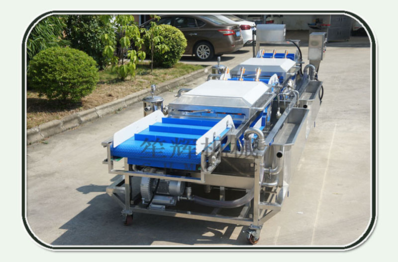 machine de nettoyage de l&eacute;gumes