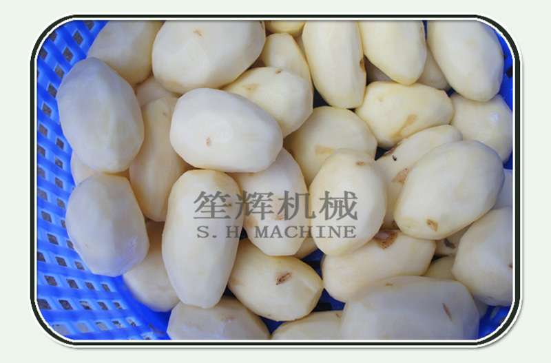 machine &agrave; &eacute;plucher le gingembre