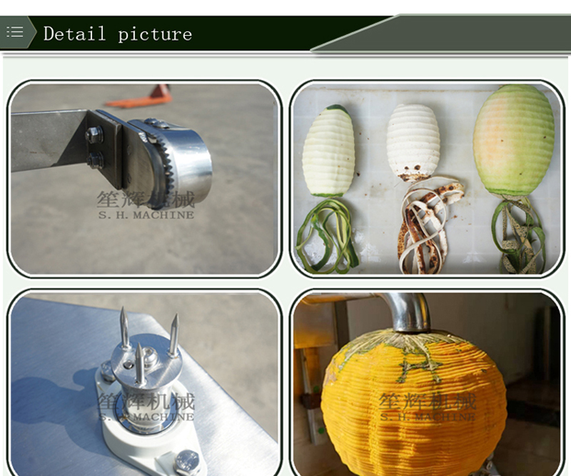 machine &agrave; &eacute;plucher