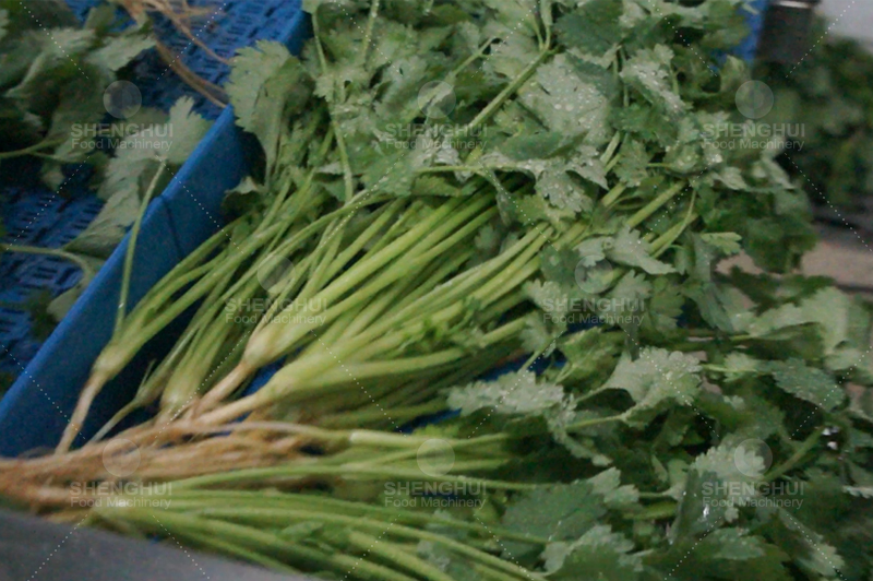 Machine &agrave; laver 1