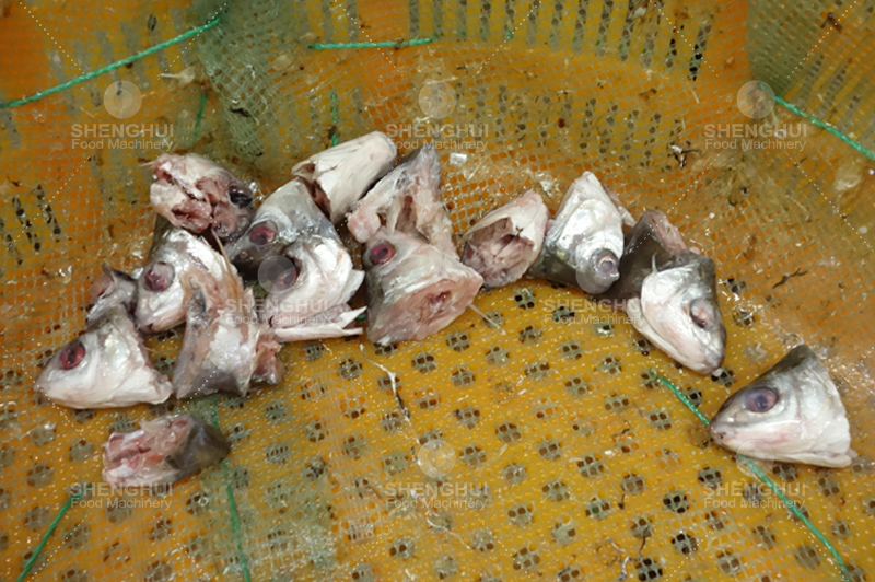 &Eacute;quipement d'enl&egrave;vement de la t&ecirc;te et de la queue de poisson