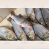 Machine automatique de détartrage de poisson, écailleur de poisson, machine de traitement de fruits de mer, détartreur de poisson, machine de détartrage de poisson