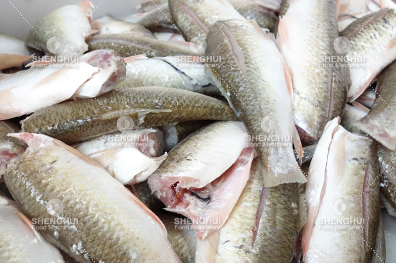 Machine &agrave; laver le poisson (2)