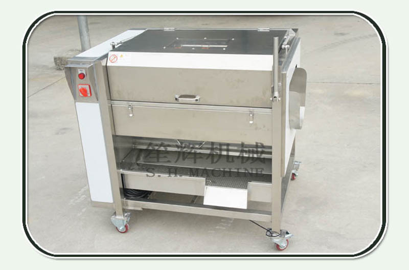 machine &agrave; &eacute;plucher les l&eacute;gumes-racines