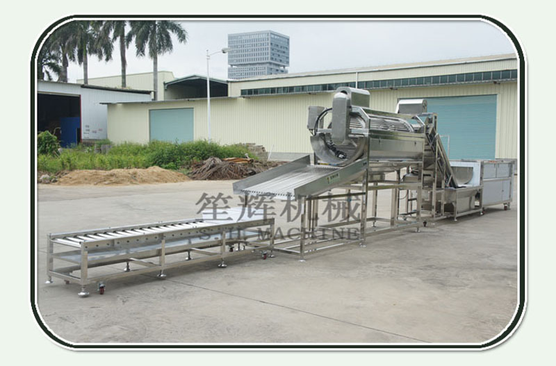 ligne de transformation du poisson