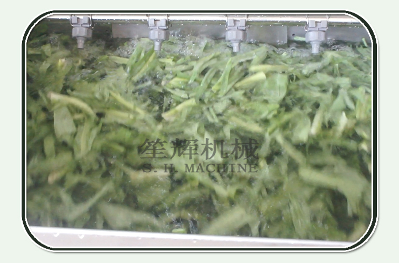 machine de nettoyage de fruits-machine alimentaire