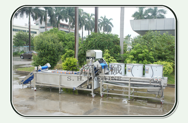 machine de nettoyage de litchi