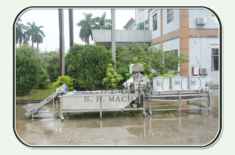 machine de nettoyage de fruits