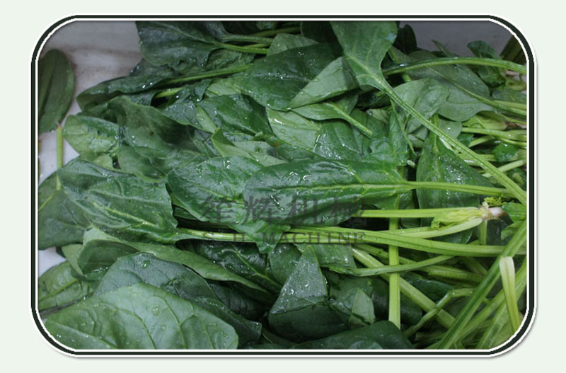 machine de nettoyage de fruits