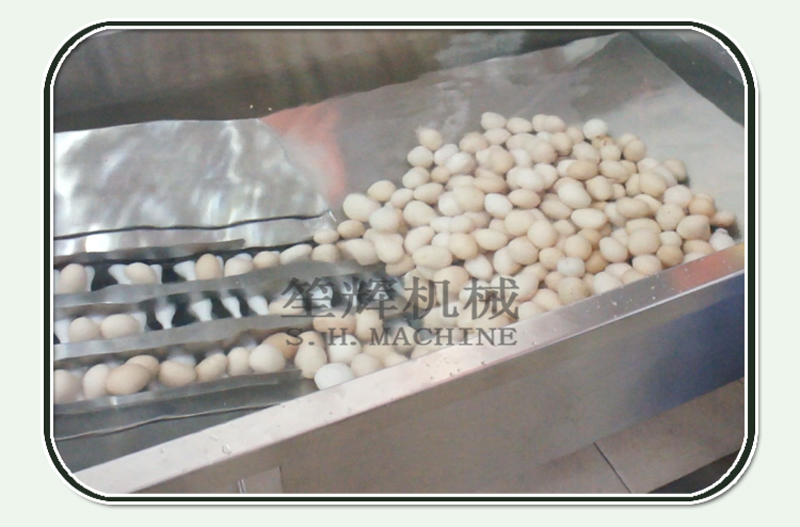 &eacute;quipement de traitement des œufs