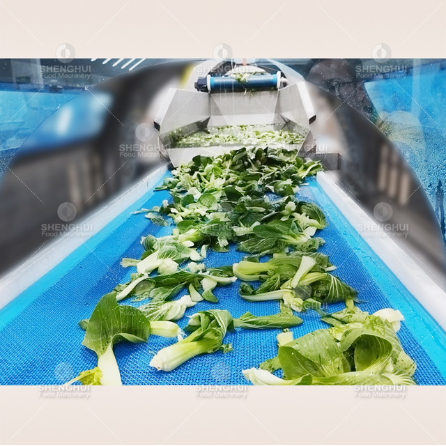 Grand équipement intelligent de ligne de production de déshydratation de nettoyage de fruits et légumes de vortex