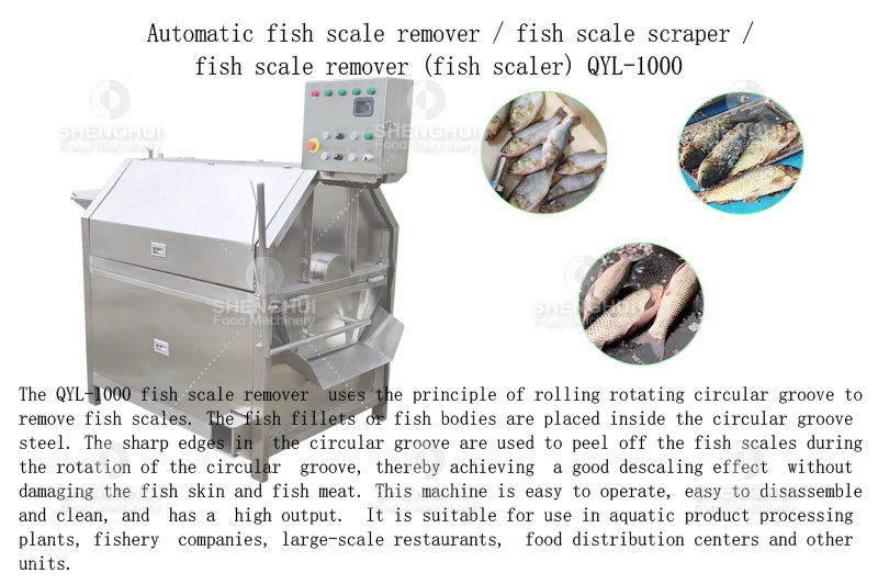 &Eacute;cailleur (13)