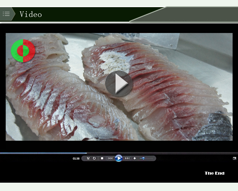 machine &agrave; trancher le poisson-machine alimentaire