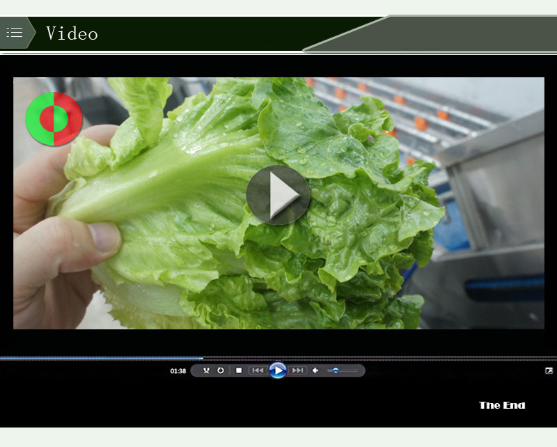 machine de nettoyage de salade 1