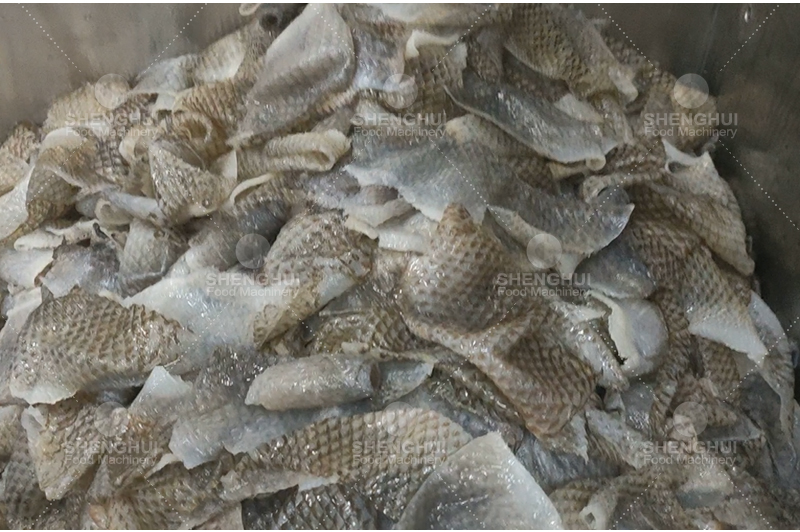 coupeur de peau de poisson (1).jpg