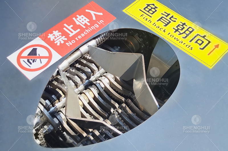 machine &agrave; d&eacute;couper le poisson (3)