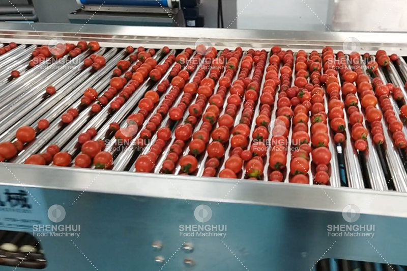 machine de tri des fruits (1)