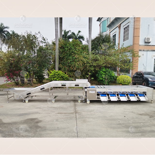 machine de tri automatique de fruits, trieuse de tomates cerises, calibreuse de pommes de terre, calibreuse de myrtilles