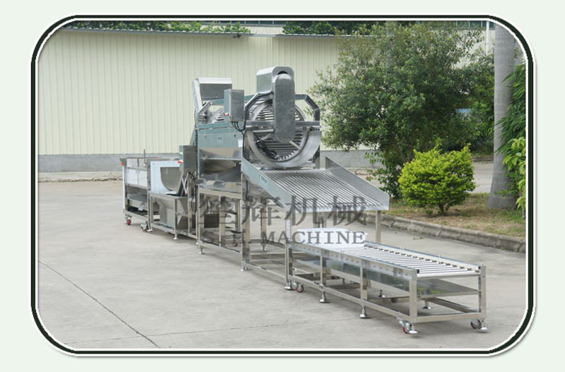 machine de tri de poisson