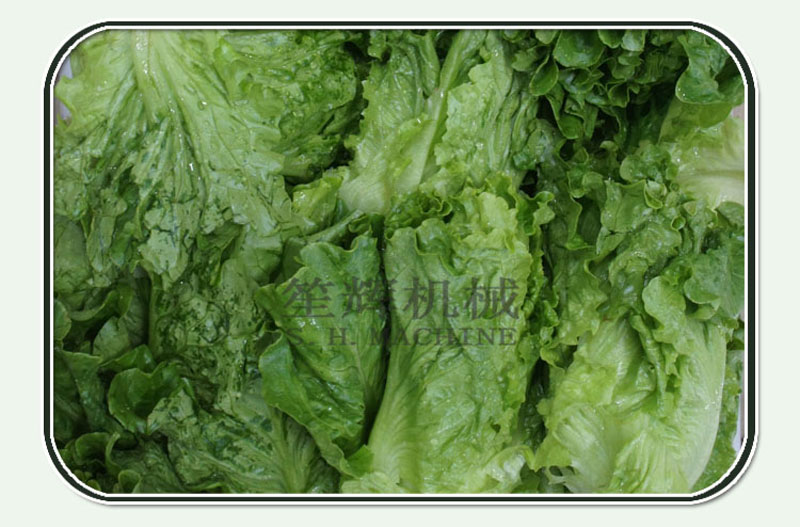 machine &agrave; laver le c&eacute;leri