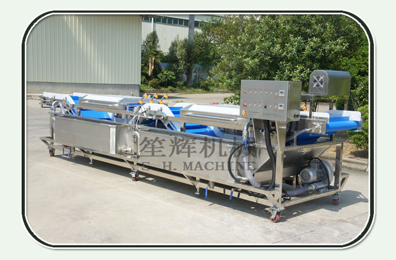 machine &agrave; laver les fruits &agrave; bulles