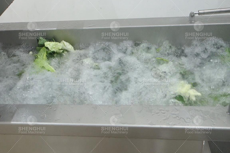 Machine &agrave; laver les l&eacute;gumes 1