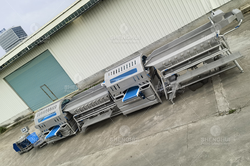 Machine de nettoyage de fruits