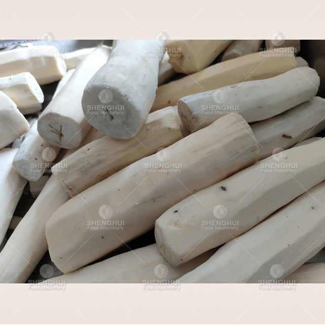 Éplucheuse à manioc à prix d'usine, machine de nettoyage du manioc, machine alimentaire, éplucheuse à manioc