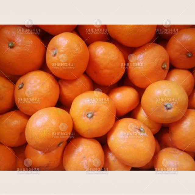 machine de tri automatique de fruits, trieuse de tomates cerises, calibreuse de pommes de terre, calibreuse de myrtilles