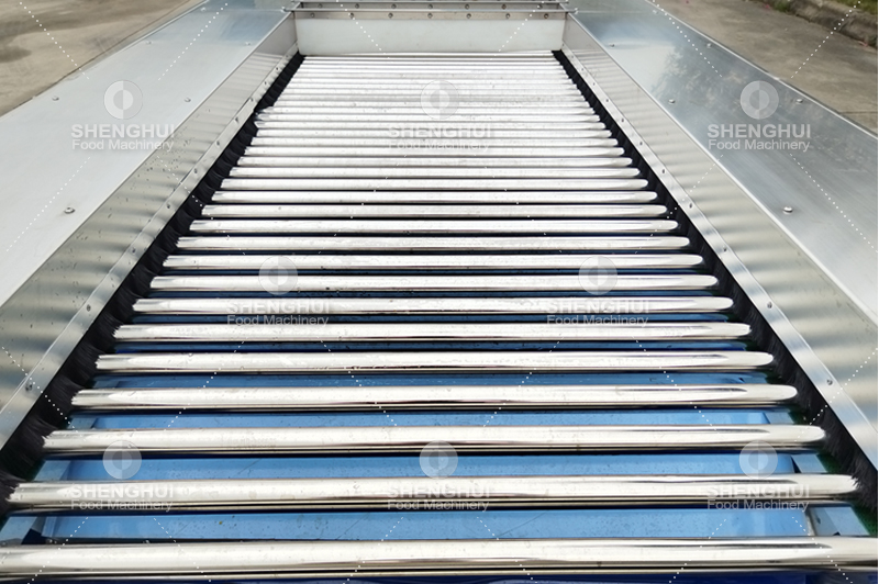 machine de calibrage des fruits (1)