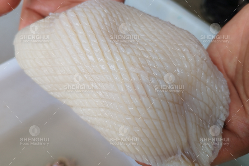 Coupe-fleurs de calamar