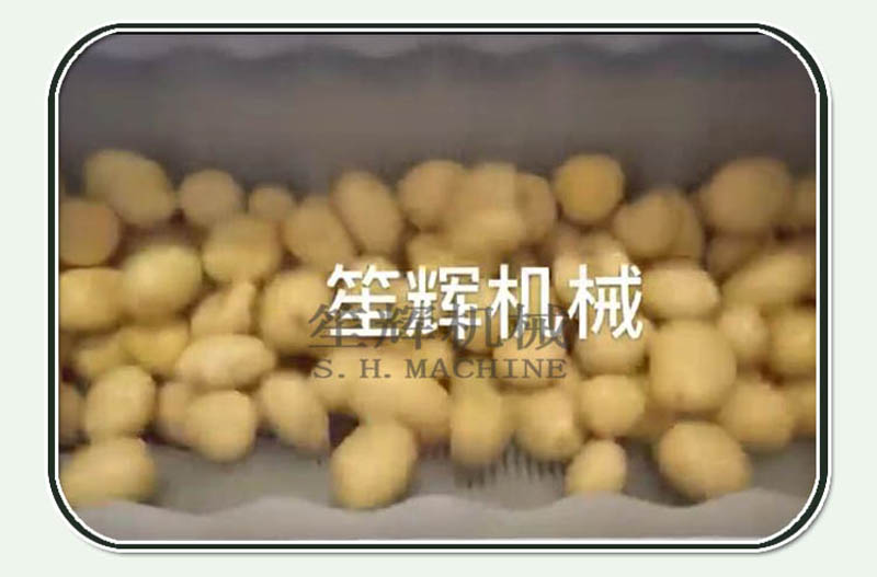 ginger peeling machine-food machine