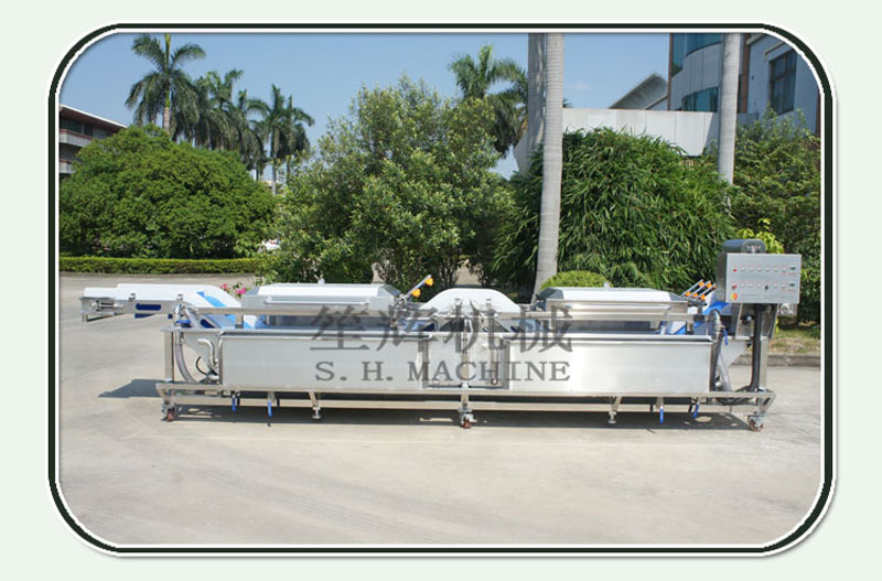 machine de nettoyage de salade