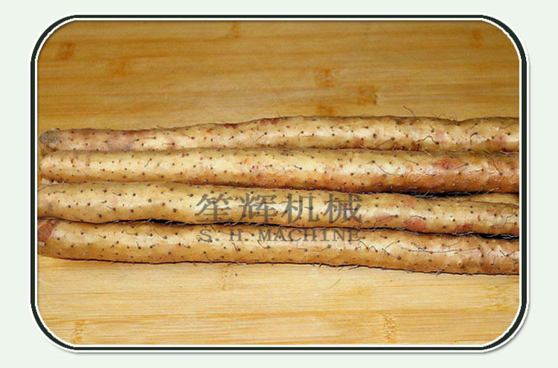 &eacute;plucheuse dignames