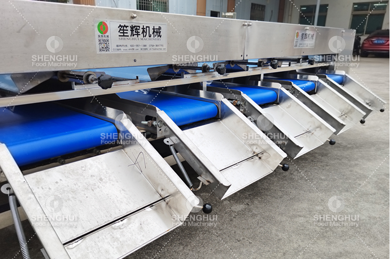 machine de calibrage des fruits (3)