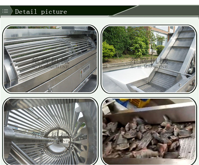 &eacute;cailleur de poisson